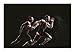 Philips SHQ3200BK/28 ActionFit Sports Earhook Headphones