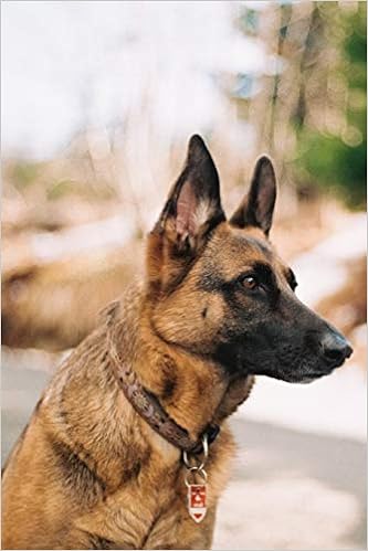 Buy German Shepherd Dot Grid Notebook Versatile Blank Dotted Grid