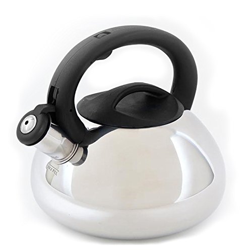 Mr. Coffee 74265.02 Harpwell 2 Quart Stainless Steel Whistling Tea Kettle, Silver