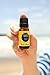 Sunshine Spice Synergy Blend Essential Oil by Edens Garden- 10 ml (Balsam, Camphor, Cinnamon Bark, Cinnamon Leaf, Eucalyptus and Sweet Orange)
