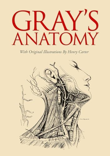 Amazon.com: Gray's Anatomy E-Book eBook : Standring PhD DSc, Susan