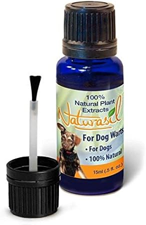 my dog has warts in her mouth