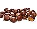 Portuguese Fresh Chestnuts 1lb