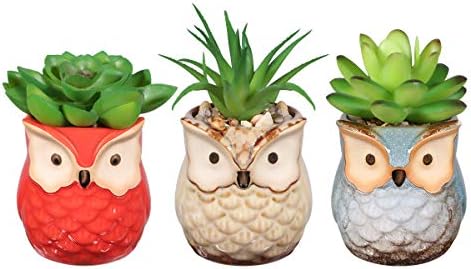 BESTOMZ 3pcs Artificial Succulent Plants and Owl Planters Decorative Faux Succulent Artificial Succulent Fake Simulation Plants with Pots for Indoor/Outdoor/Living Room/Office