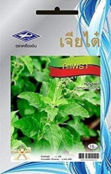 Potseed Germination Seeds: 3: 960 Seeds Lettuce Chia Tai Thai Vegetable Yard Garden Plant Kitchen Cooking Food