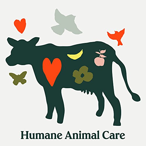 3 Chobani+Non+Fat+Greek+Yogurt+Plain