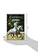 Cinderella Junior Novel