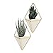 LANMU Hanging Container,Handcrafted Wall Vases,Geometric Wall Decor,Wall Vase Hanging,Plant Holder for Air Plants/Succulent Plants/Artificial Flowers/Mini Cactus/Geometric Plants (2 Pack)