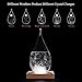 Hotbest Stylish Creative Desktop Water Drop Decorative Bottle, Weather Forecast Storm Glass Weather Station-Large