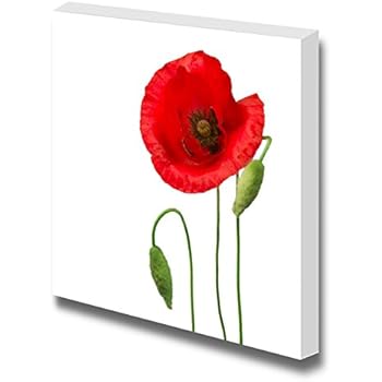 Canvas Prints Wall Art - Poppy Flower Against White Background | Modern Wall Decor/Home Decor Stretched Gallery Wraps Giclee Print & Wood Framed. Ready to Hang - 12