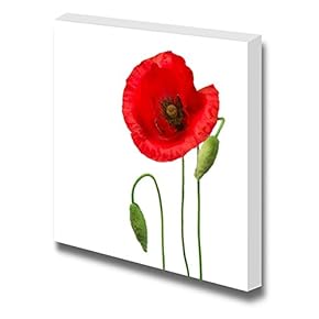 Canvas Prints Wall Art - Poppy Flower Against White Background | Modern Wall Decor/Home Art Stretched Gallery Wraps Giclee Print & Wood Framed. Ready to Hang - 12" x 12"
