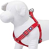Blueberry Pet Essentials 2020 New Step-in