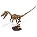Paleo Expedition - Dino Excavation Kit - Velociraptor