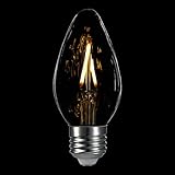 LIGHTSTORY E26 LED Decorative Bulb F15, 2700K Non-Dimmable 1.8W/25W Candle Base LED Candelabra Bulb