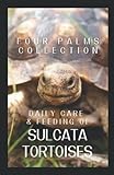 Daily Care and Feeding of Sulcata Tortoises: A