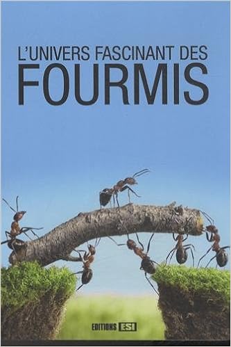 Univers Fascinant Des Fourmis L Sivault Celine 9782822602167 Amazon Com Books