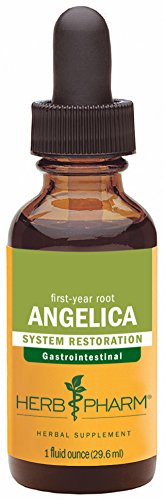 Herb Pharm Certified Organic Angelica Root Extract for Digestive Support - 1 Ounce