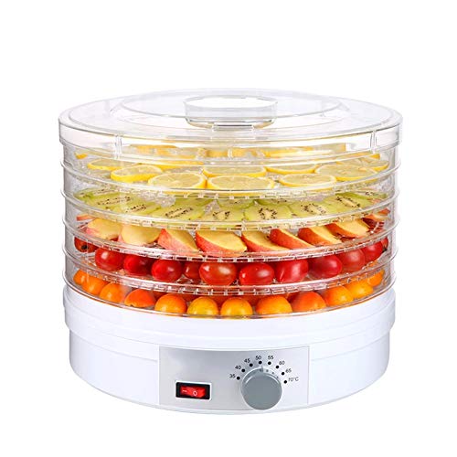 Buy Electric Food Dehydrator Machine Temperature Control 5 Drying