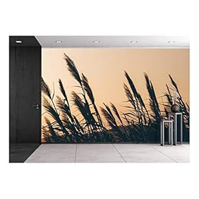 Reeds with Sunset Background - Removable Wall Mural | Self-Adhesive Large Wallpaper - 66x96 inches