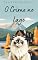 Livro O Crime no Lago: Mistérios Felinos de Razzy #3