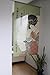 Noren Curtain Tapestry Ukiyoe Karauta (Japan Import)