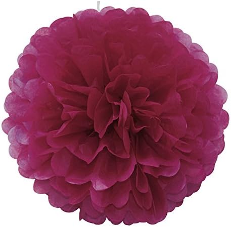 Ipalmay 10PCS Assorted Colors Tissue Paper Pom Poms Flower Balls For Weeding Birthday Party Decorations(8 Inch, Burgundy)