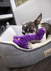 goDog Just For Me Bruto with Chew Guard Technology