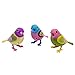 DigiBirds - 3 Count Set of DigiBirds - Purple Set