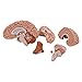 3B Scientific C18 Classic Brain 5 part - 3B Smart Anatomy