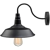 LNC Wall Sconce,Farmhouse Barn Gooseneck Light Fixture,Antique Brass and Black Matte Finish for Bedroom Bathroom A0224101,