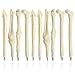 Jiulyning Novelty Bone Shape Ballpoint Pens, 0.7mm Black Ink, Pack of 10