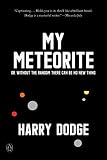 My Meteorite: Or, Without the Random There Can Be No New Thing by