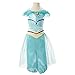 Disney Princess Jasmine Arabian Outfit