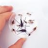 Go-to-Trout-Fly-Fishing-Nymph-Assortment-12-Flies Go-to-Trout-Fly-Fishing-Nymph-Assortment-12-Flies
