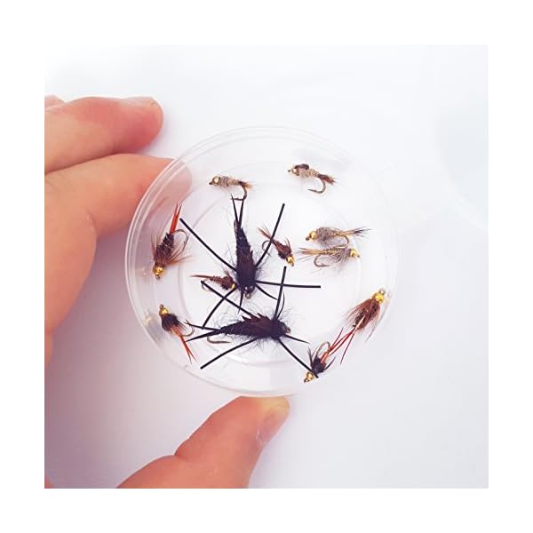 Go-to-Trout-Fly-Fishing-Nymph-Assortment-12-Flies Go-to-Trout-Fly-Fishing-Nymph-Assortment-12-Flies
