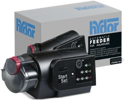 guinea pig black white