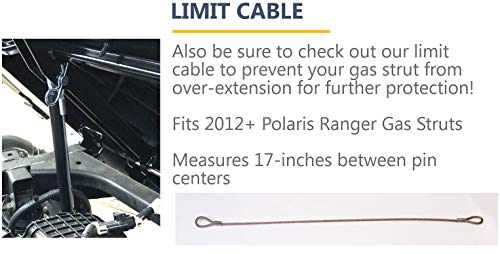 4 Polaris+Strut+Oversized+Typically+older