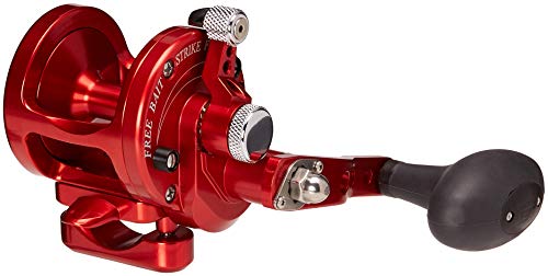 Avet 5.3:1 Lever Drag Conventional Reel