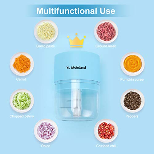 Mini Electric Garlic Chopper, 250ml Food Chopper, Powerful & Portable
