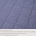 KPBLIS Weighted Blanket 15 lbs 60