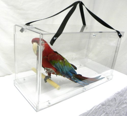 3 Pennzoni+Display+Macaw+Acrylic+Carriers