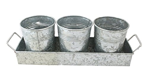 3 Pot Galvanized Metal Bucket Planter Pail 15" x 9" x 3" Tray Serveware Set Kitchen Collection Great for Gardening, Decoration, and Beverage Holding by Well Pack Box ... (Galvanized) - Thumbnail 3