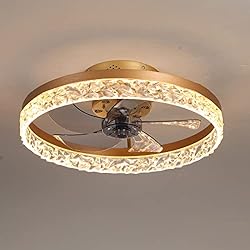 19.7" Ceiling Fan with Lights Remote