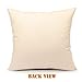 4TH Emotion St. Patricks Day Green Home Decor Throw Pillow Case Cushion Cover 18 x 18 Inch Cotton Linen(Saint Patricks Lucky Clove)