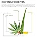 O NATURALS Organic Face Moisturizer Hemp Oil Day Face & Neck Anti-Aging Cream. Hyaluronic Acid Hydrating Relives Dry Skin. Boost Collagen, Prevent Signs of Aging Women & Men Skin Care 1.7oz