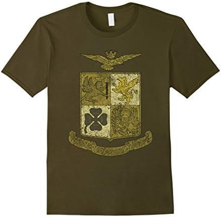 Mens Italian Air Force Aeronautica Militare emblem bronze t-shirt 2XL Olive