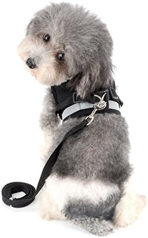 Ranphy Reflective Small Dog Harness Mesh Breathable Pet Vest No Pull Harness with Leash Set Adjustable for Walking Training Running