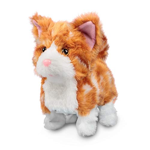 Tobar ANIMIGOS GINGER KITTEN