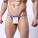 Men Underwear, Franterd Sexy Briefs Breathable Translucent Underpants