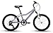 New 2018 Diamondback Lustre 20 Complete Mountain Bike